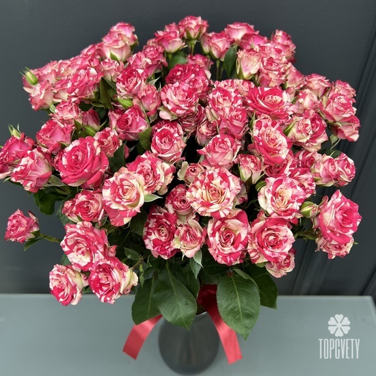 Букет из 15 кустовых роз  Фаер Фокс 60см