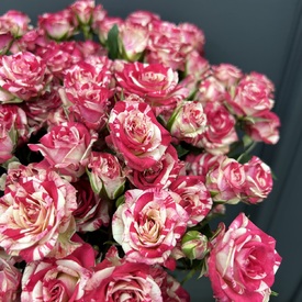 Букет из 15 кустовых роз  Фаер Фокс 60см