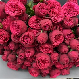 Букет из 35 пионовидных кустовых роз 