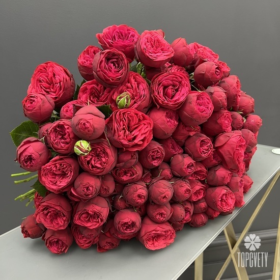 Букет из 35 пионовидных кустовых роз 