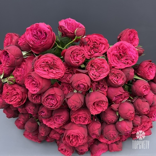 Букет из 35 пионовидных кустовых роз 