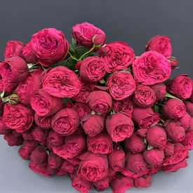 Букет из 35 пионовидных кустовых роз 