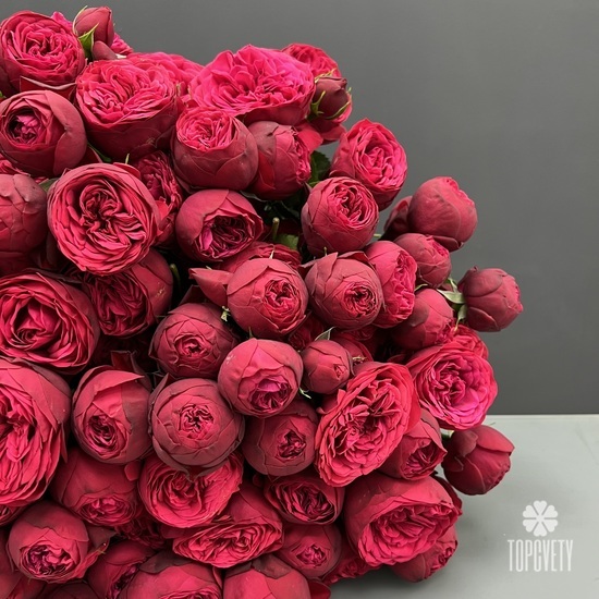 Букет из 35 пионовидных кустовых роз 