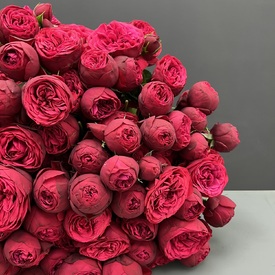Букет из 35 пионовидных кустовых роз 