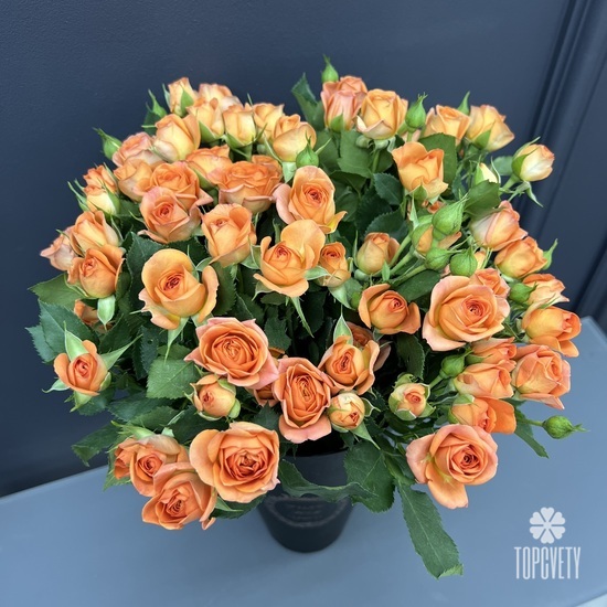 Композиция из 15 кустовых роз в коробке 