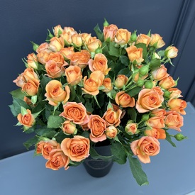 Композиция из 15 кустовых роз в коробке 