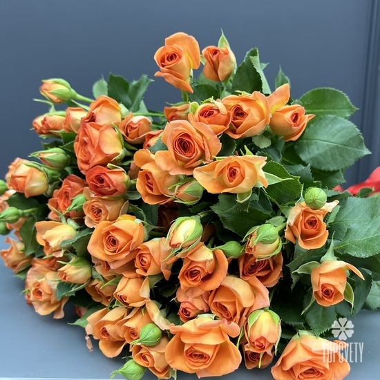 Букет из 11 кустовых роз