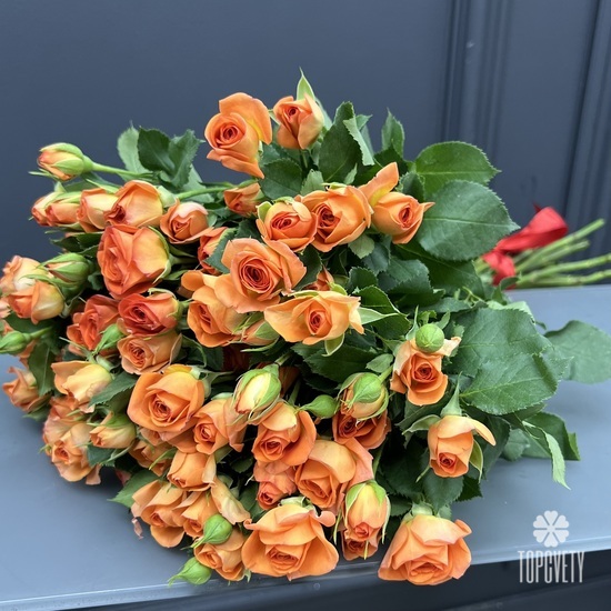 Букет из 11 кустовых роз