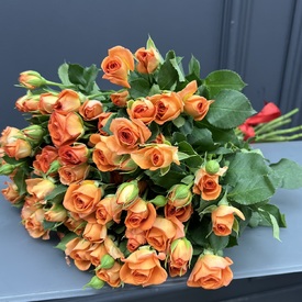 Букет из 11 кустовых роз