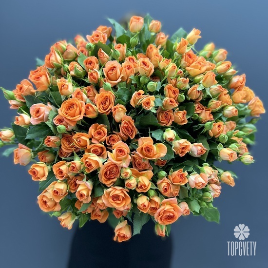 Букет из 35 оранжевых кустовых роз 50см
