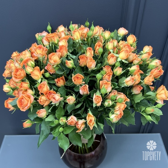 Букет из 35 оранжевых кустовых роз 50см