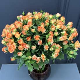 Букет из 35 оранжевых кустовых роз 50см