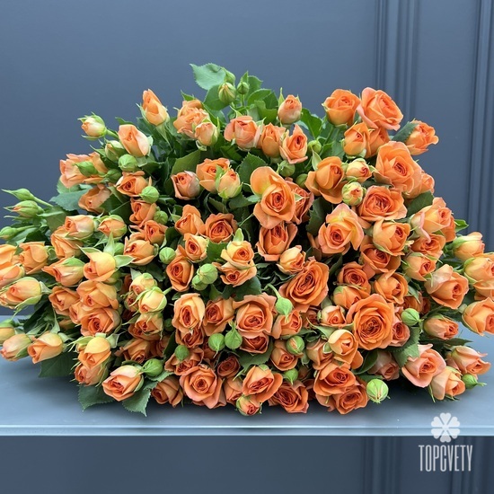 Букет из 35 оранжевых кустовых роз 50см
