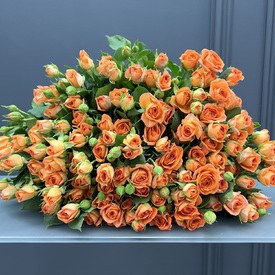 Букет из 35 оранжевых кустовых роз 50см