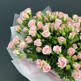 Букет из 25 кустовых роз Кения 50см