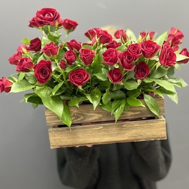 Композиция из красных кустовых роз  в деревянном ящике
