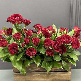 Композиция из красных кустовых роз  в деревянном ящике