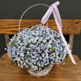 Композиция из голубой гипсофилы в корзинке 