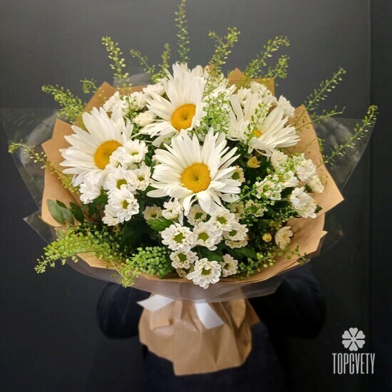 Букет из 5 Садовых Ромашек
