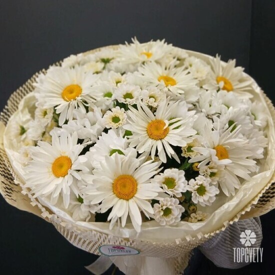 Букет из 7 Садовых Ромашки и Хризантемы