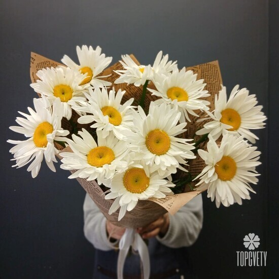 Букет из 11 Садовых Ромашек