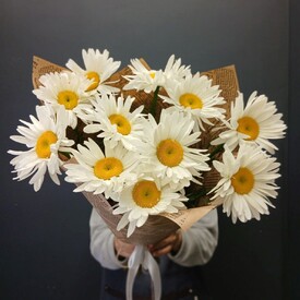 Букет из 11 Садовых Ромашек