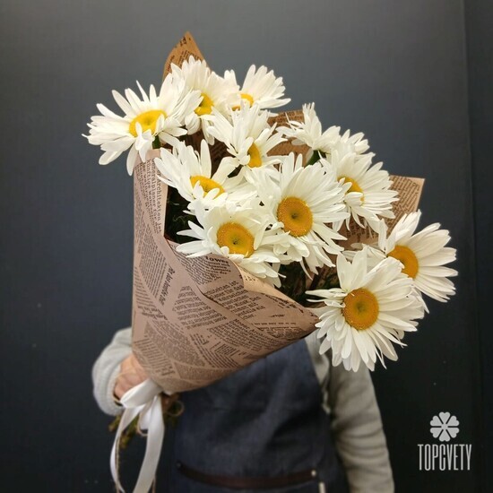 Букет из 11 Садовых Ромашек