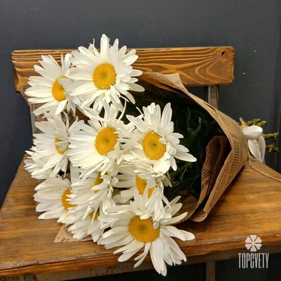 Букет из 11 Садовых Ромашек