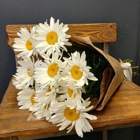 Букет из 11 Садовых Ромашек