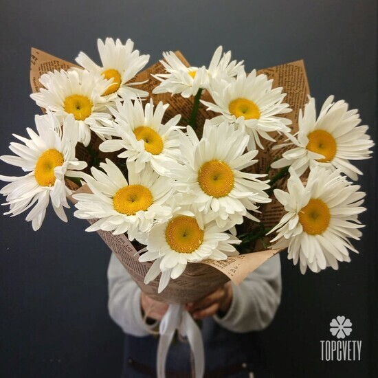 Букет из 11 Садовых Ромашек