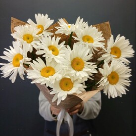 Букет из 11 Садовых Ромашек