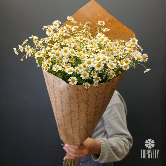 Букет из 9 Ромашек Танацетума
