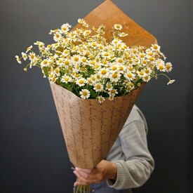 Букет из 9 Ромашек Танацетума