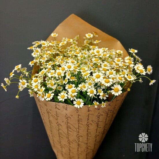 Букет из 9 Ромашек Танацетума