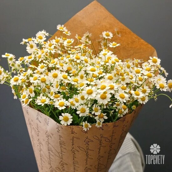 Букет из 9 Ромашек Танацетума