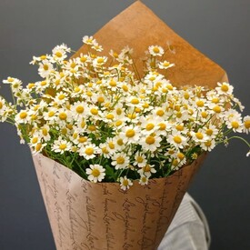 Букет из 9 Ромашек Танацетума