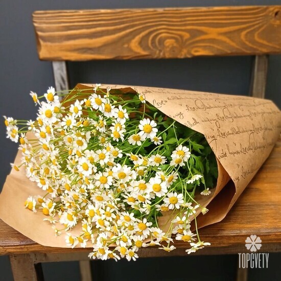 Букет из 9 Ромашек Танацетума