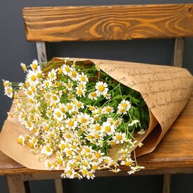 Букет из 9 Ромашек Танацетума