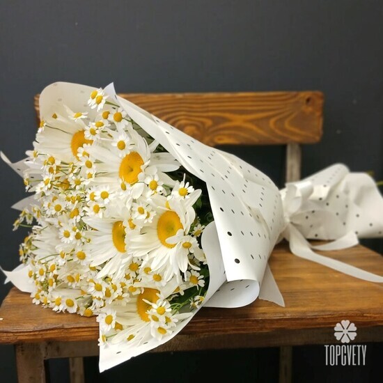 Букет из 9 Ромашек и танацетума