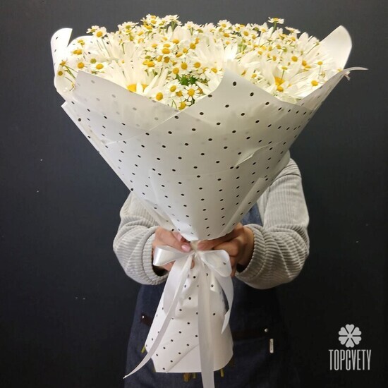 Букет из 9 Ромашек и танацетума