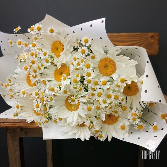 Букет из 9 Ромашек и танацетума