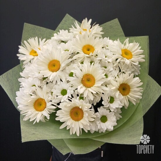 Букет из 9 Ромашек и хризантемы