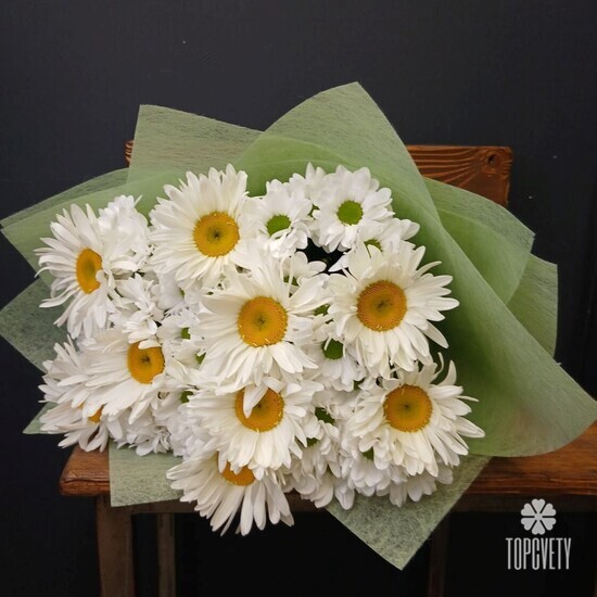 Букет из 9 Ромашек и хризантемы