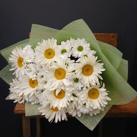 Букет из 9 Ромашек и хризантемы