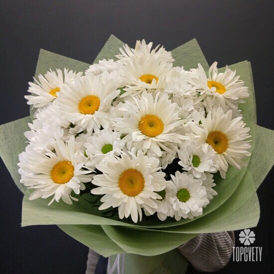 Букет из 9 Ромашек и хризантемы