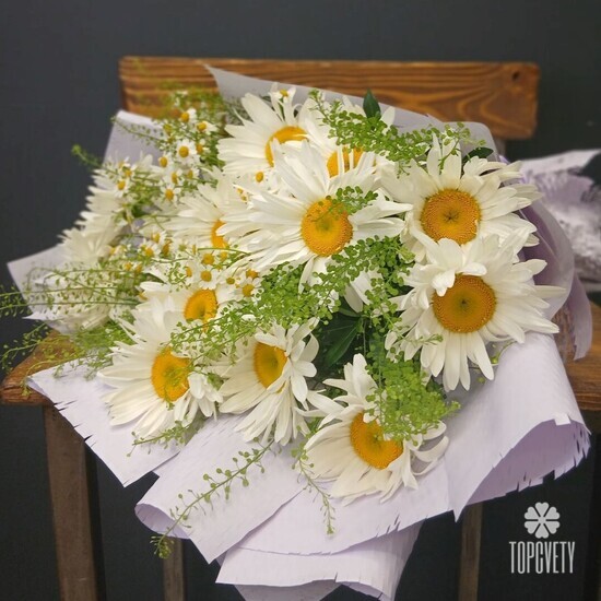 Букет из 19 Ромашек и танацетума