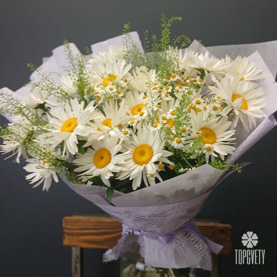 Букет из 19 Ромашек и танацетума