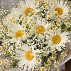 Букет из 9 Ромашек, танацетума и гипсофилы