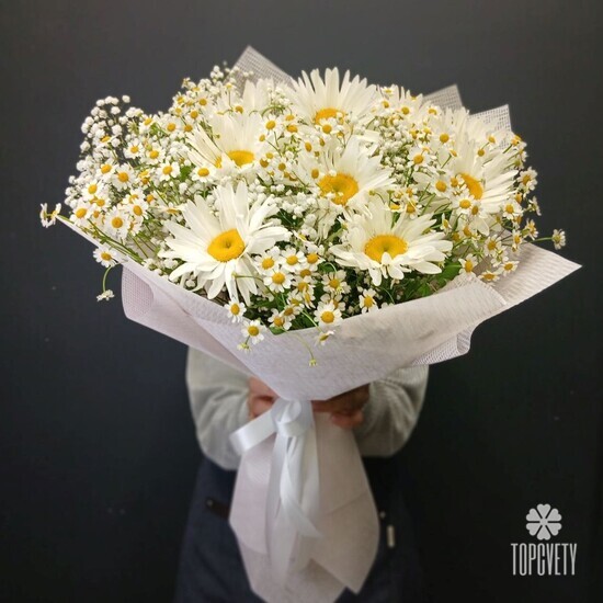 Букет из 9 Ромашек, танацетума и гипсофилы