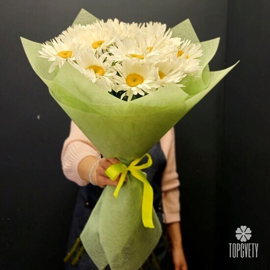 Букет из 15 Ромашек